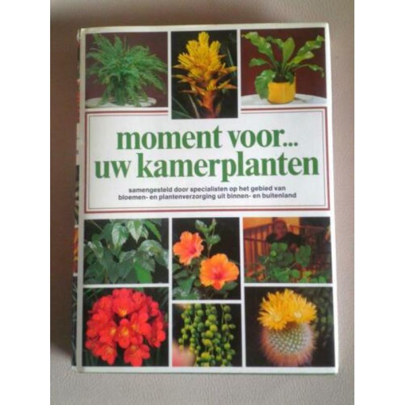 Moment voor... uw kamerplanten (adviesboek door specialisten