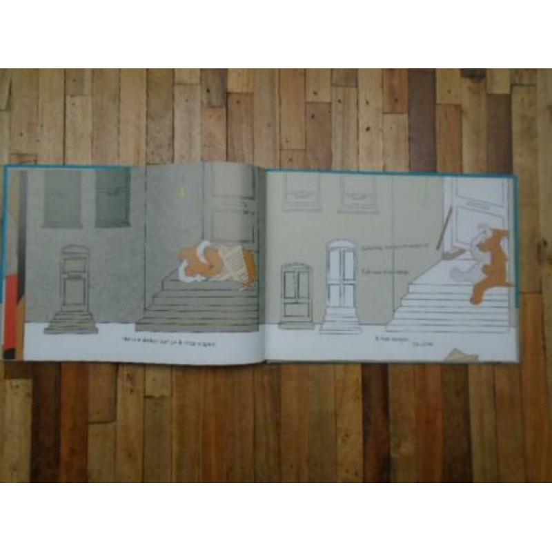 Boris is zoek, hardcover prentenboek, nieuw