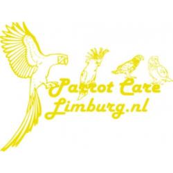 Veilig papegaai speelgoed, (en voor goede prijs).