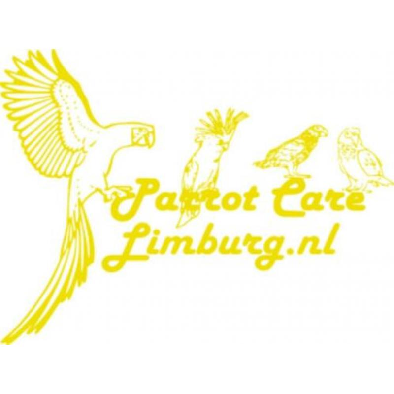 Veilig papegaai speelgoed, (en voor goede prijs).
