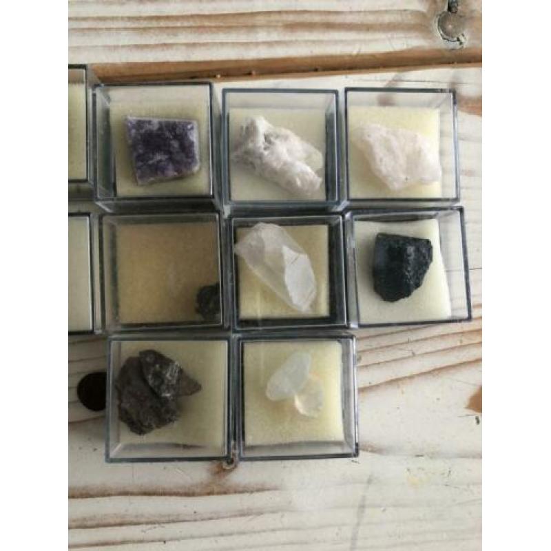 Mineralen en fossielen