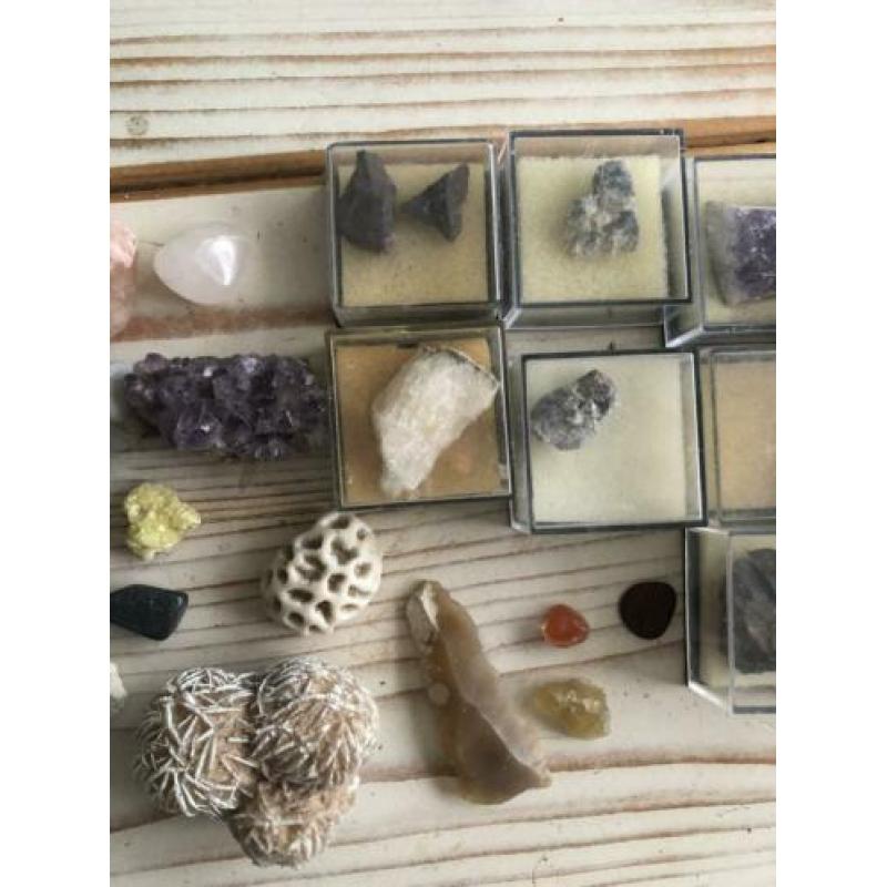 Mineralen en fossielen