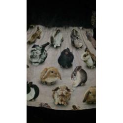 Jurk Molo 122/128