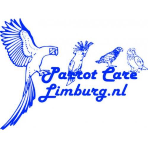 Veilig papegaai speelgoed, (en voor goede prijs).