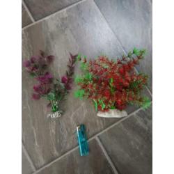 Aquarium decoratie/planten