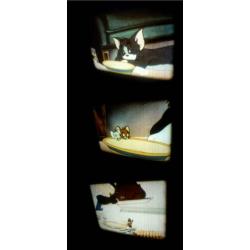 x 8mm film 2x Tom & Jerry Babymuis + Caribian 120mtr geluid