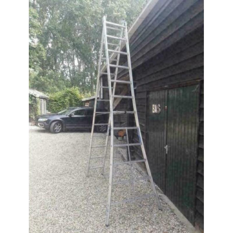 Altrex Ladder 2x12 voor het snoeien van bomen