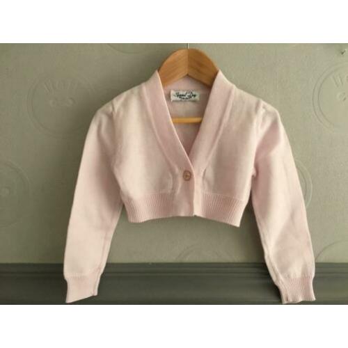 - Special Day - vest maat 4 / 104 roze (Molly Bracken jurk)