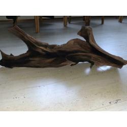Mangrove hout 60 cm