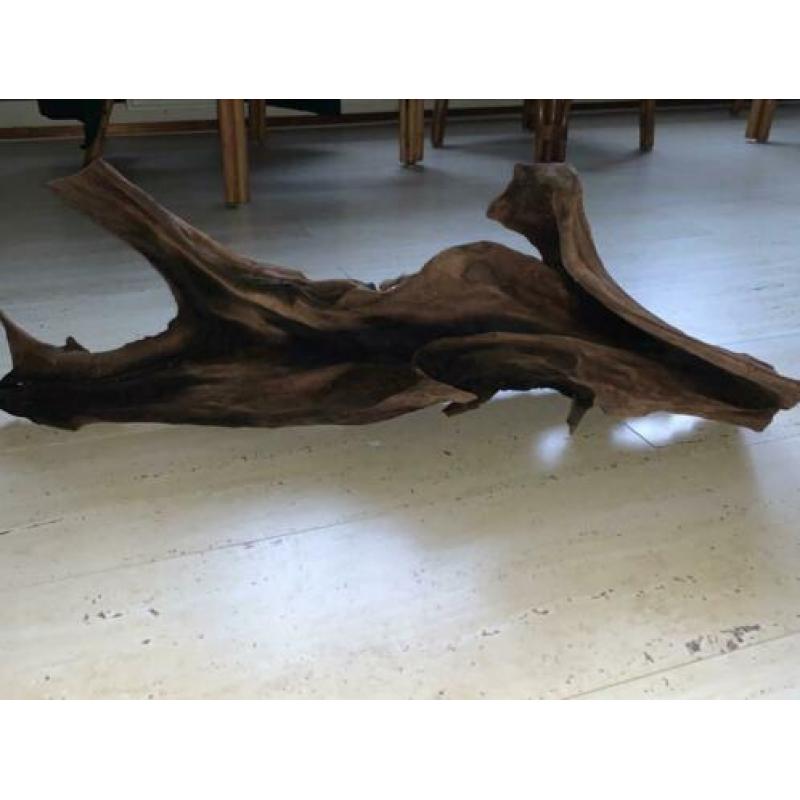 Mangrove hout 60 cm