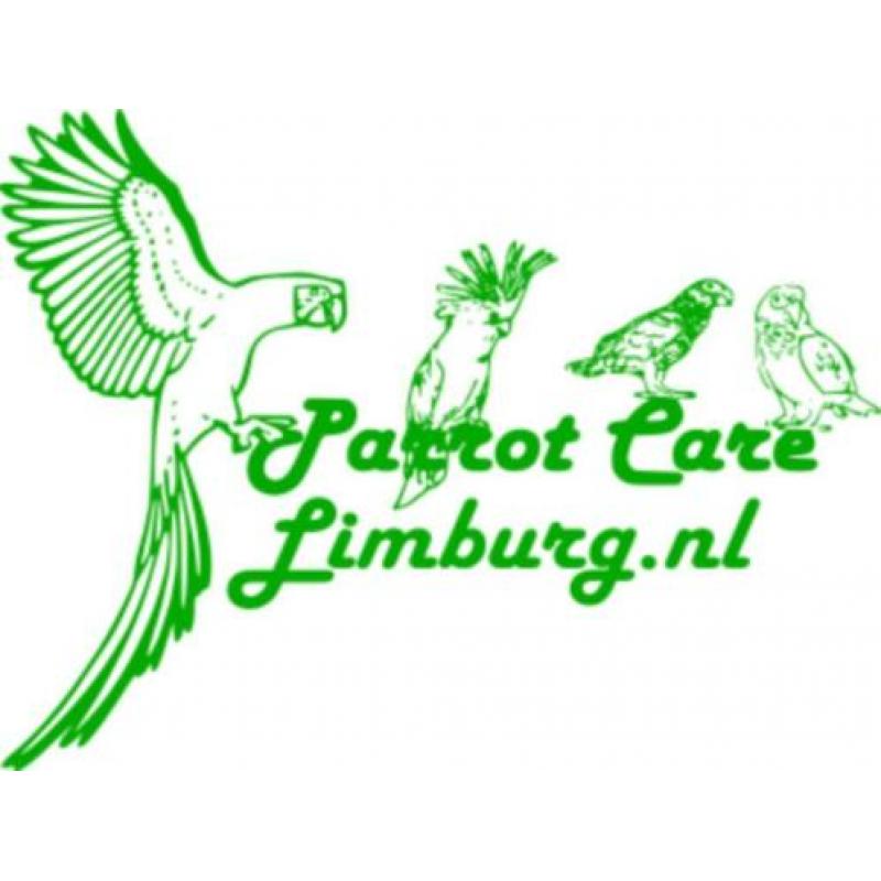 Veilig papegaai speelgoed, (en voor goede prijs).