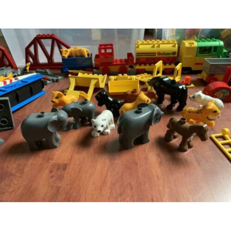 Veel duplo trein, dieren etc in 1 koop