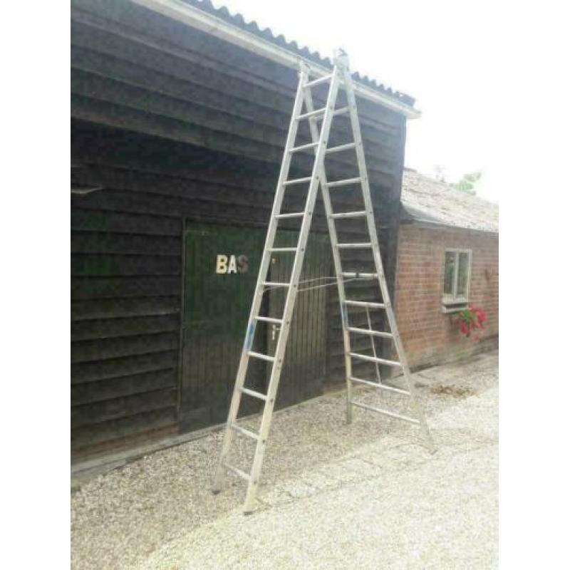 Altrex Ladder 2x12 voor het snoeien van bomen
