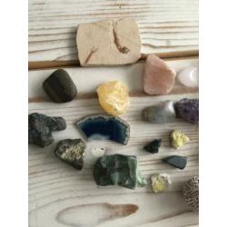 Mineralen en fossielen