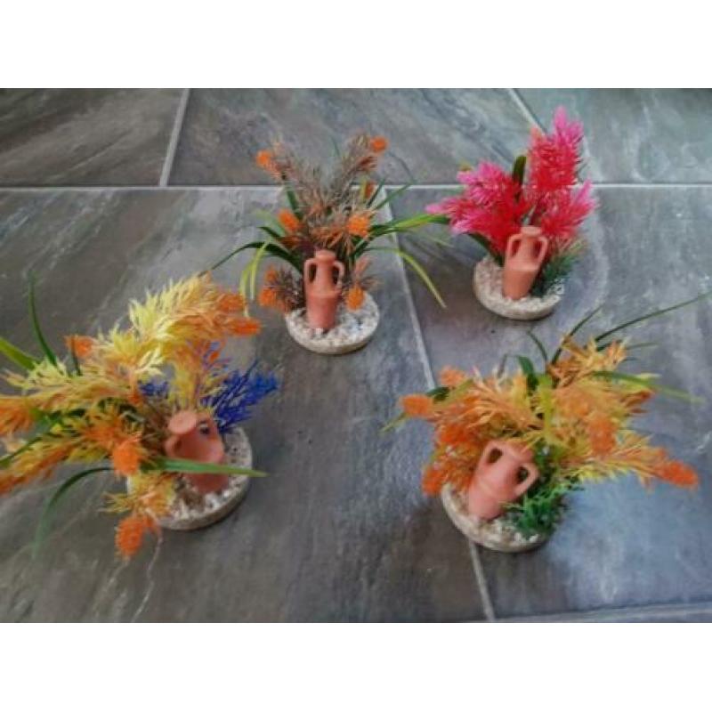 Aquarium decoratie/planten