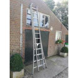 Altrex Ladder 2x12 voor het snoeien van bomen