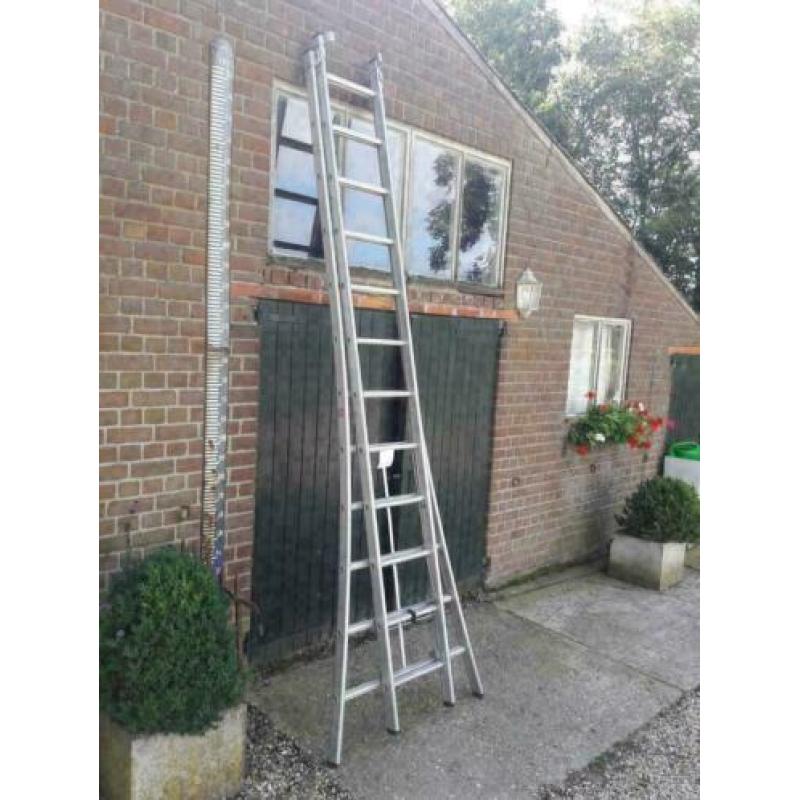 Altrex Ladder 2x12 voor het snoeien van bomen