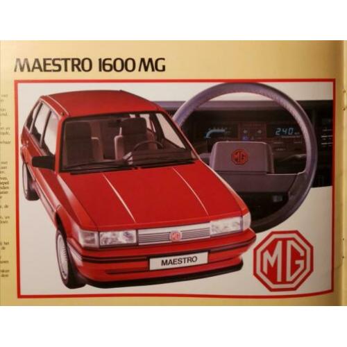MG Montego MG Maestro van Austin Rover - 1984 autofolder