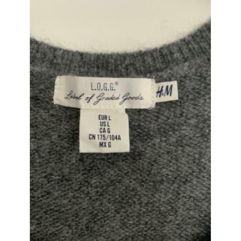 H&M grijze trui maat L
