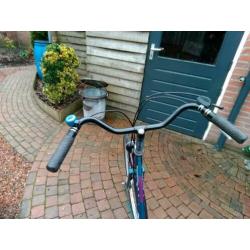 Damesfiets 28 inch ook goed geschikt voor meisjes.