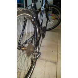 Mountainbike heren