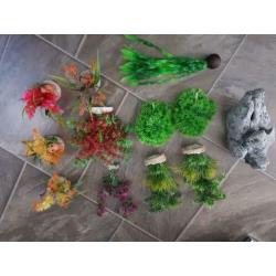 Aquarium decoratie/planten
