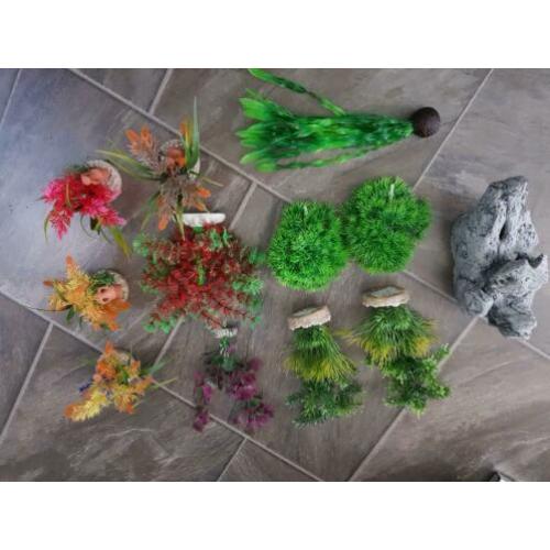 Aquarium decoratie/planten