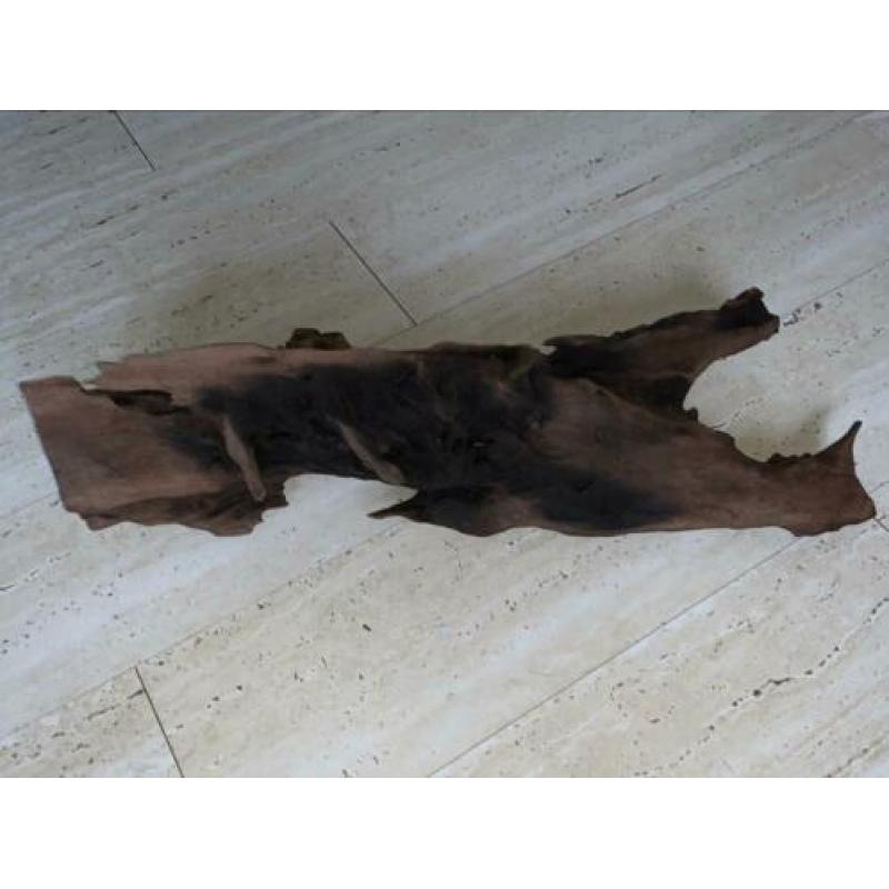 Mangrove hout 60 cm