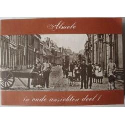 Almelo en Twente in vijf boeken: Verhalen uit het Oosten e.a