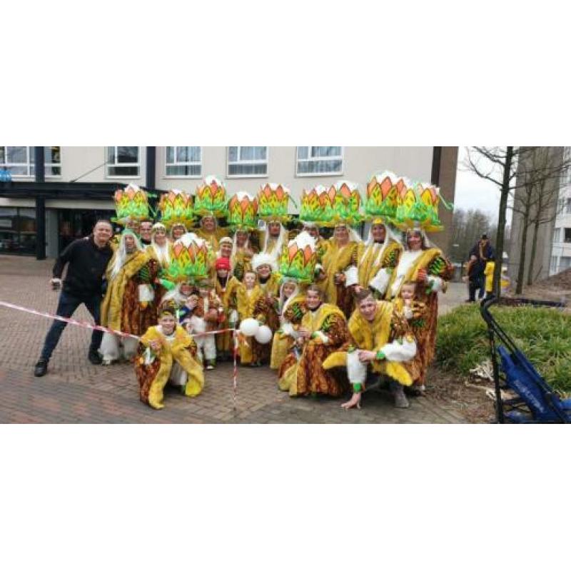 Carnaval loopgroep