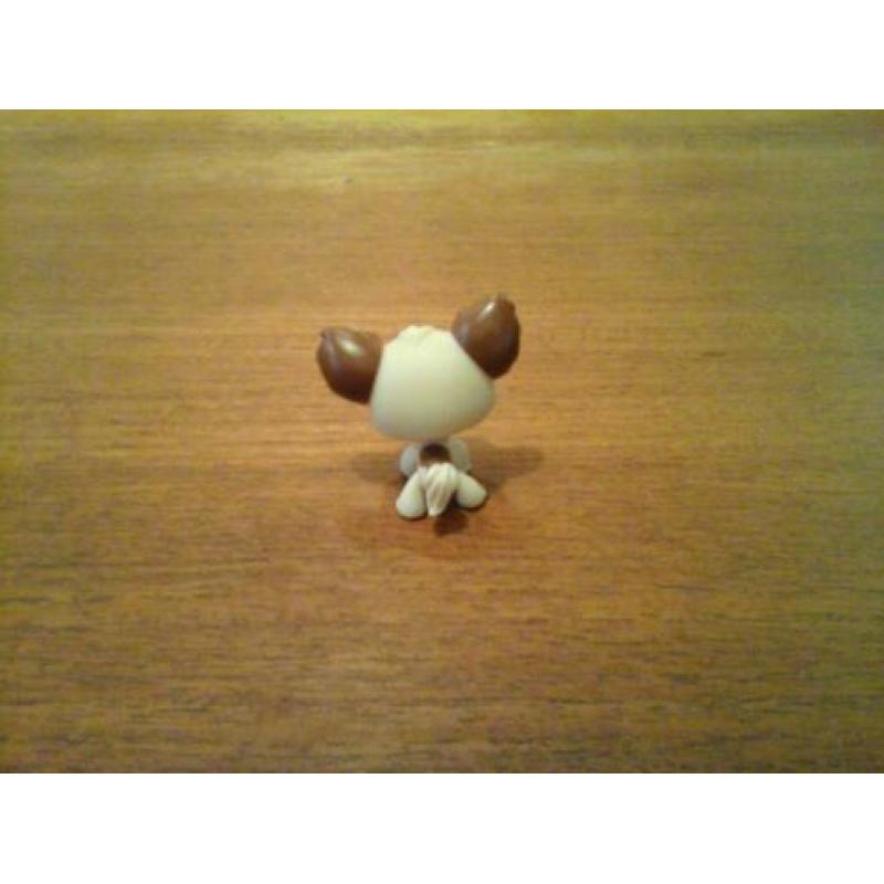 Littlest pet shop chihuahua petshop