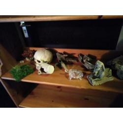 Aquarium/ terrarium decoratie/waterbakken