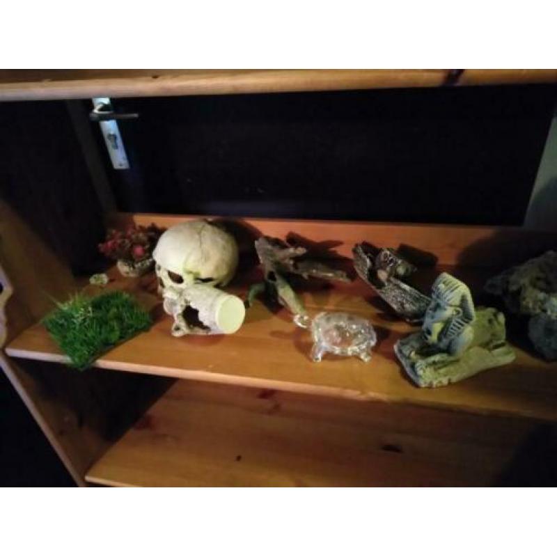 Aquarium/ terrarium decoratie/waterbakken