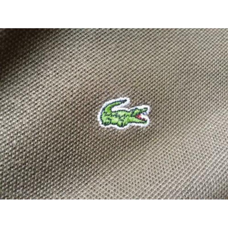 Authentic Lacoste Polo 36/S