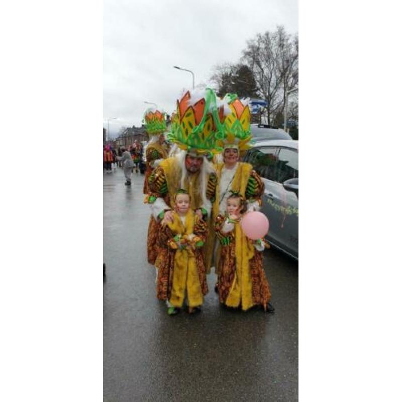 Carnaval loopgroep