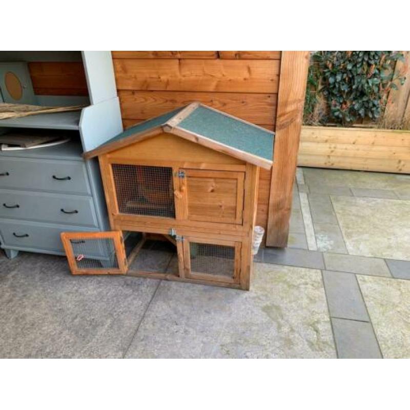 Lief tam konijntje zoekt een nieuw huisje