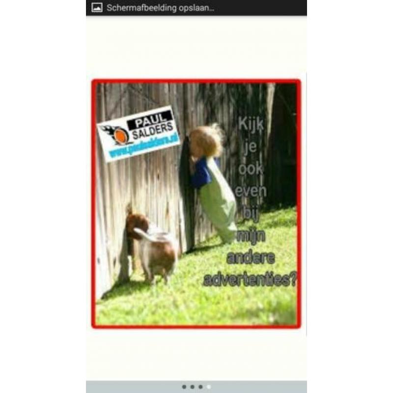 Zeer lief tam konijn voedster