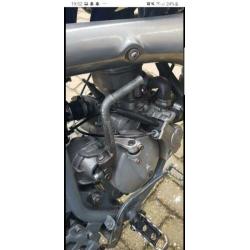 Gilera zulu (derbi)
