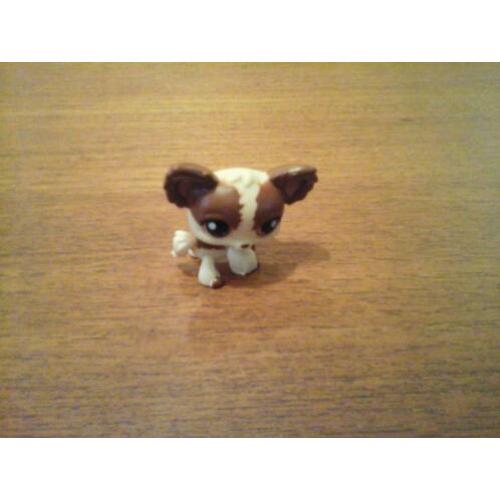 Littlest pet shop chihuahua petshop