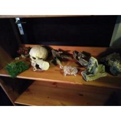 Aquarium/ terrarium decoratie/waterbakken
