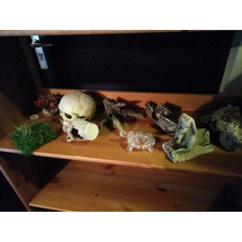 Aquarium/ terrarium decoratie/waterbakken
