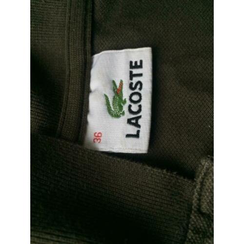 Authentic Lacoste Polo 36/S