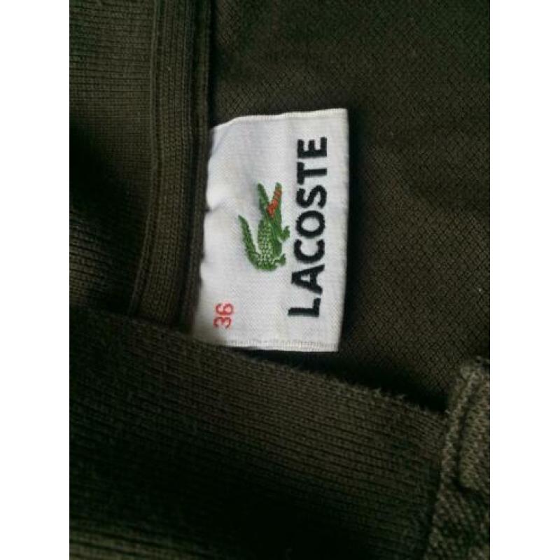 Authentic Lacoste Polo 36/S
