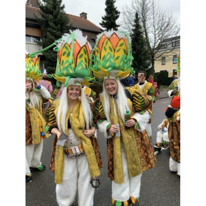 Carnaval loopgroep
