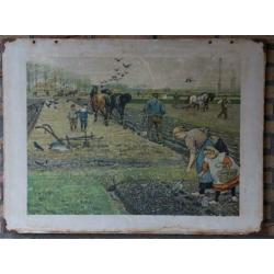 Schoolplaat – schoolplaten –De lente op den akker- Jetses 2