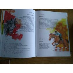 Boek elke dag een paardje