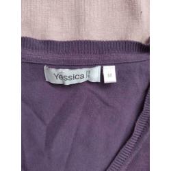 2x truitjes Yessica, vraagprijs per 2! Zgan