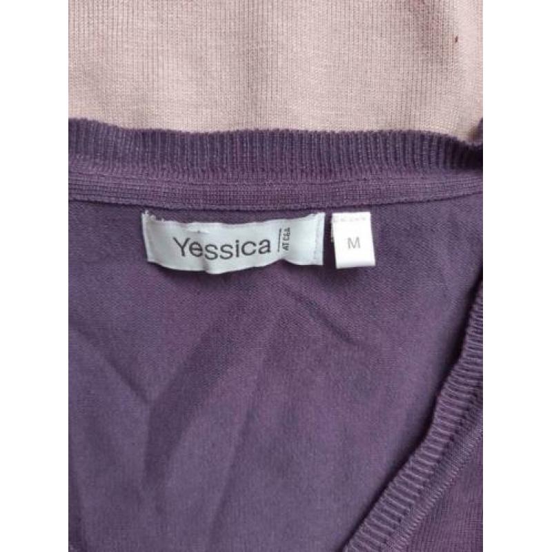 2x truitjes Yessica, vraagprijs per 2! Zgan