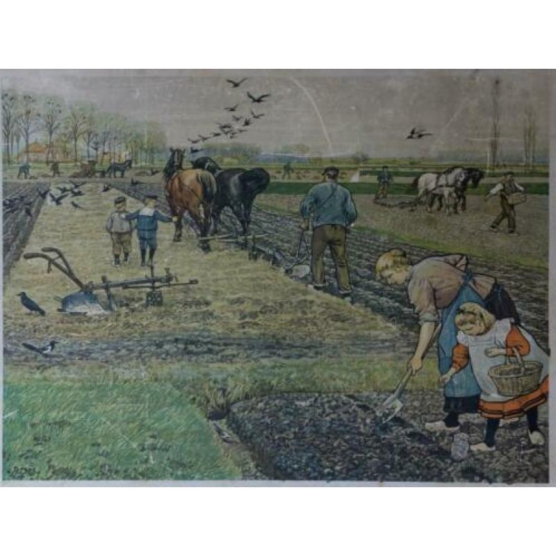 Schoolplaat – schoolplaten –De lente op den akker- Jetses 2