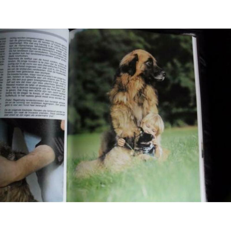 Mijn hond mijn Vriend ,Verzorging en E.H.B.O.